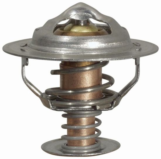 Picture of Thermostat 170 F