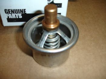 Thermostat resmi