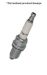 Spark Plug resmi