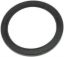 Picture of Oil Seal, Crank