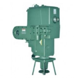 Locomotive Governors resmi