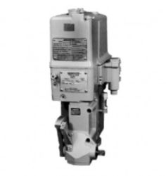 Governor, sets speed/power output from a remote location resmi