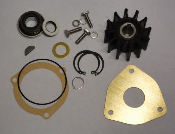 Minor Repair Kit, Water Pump resmi