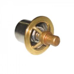 Regulator, Thermostat resmi