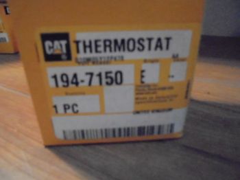 Regulator, Thermostat resmi