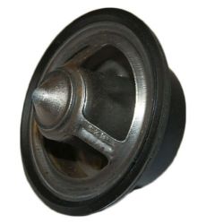 Thermostat resmi