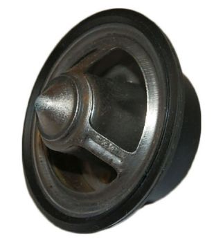 Thermostat resmi