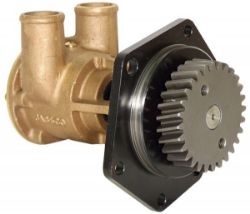 Sea Water Pump resmi