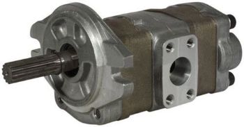 PUMP ASSY GEAR resmi