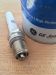 SPARK PLUG resmi