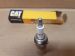 SPARK PLUG resmi