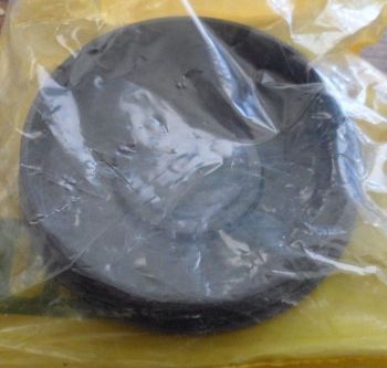 BUTTON AS HORN resmi