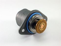 THERMOSTAT resmi
