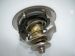 THERMOSTAT resmi