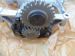 Oil Pump resmi