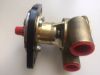 Picture of PUMP, SEA WATER