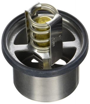 Thermostat resmi
