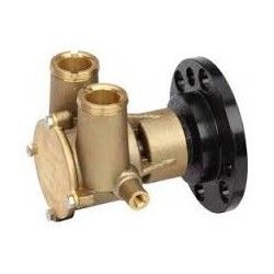 Raw Water Pump resmi