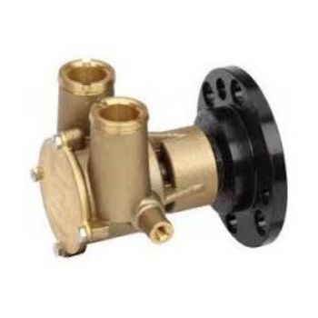 Raw Water Pump resmi
