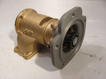 Raw Water Pump resmi