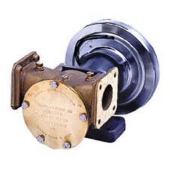 Sea Water Pump resmi