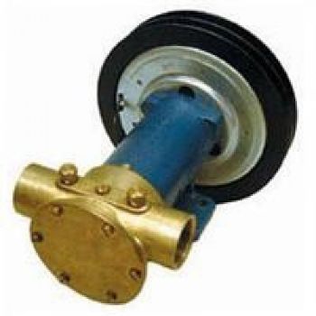 Sea Water Pump resmi