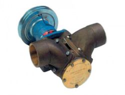 Sea Water Pump resmi