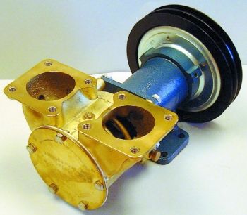 Sea Water Pump resmi