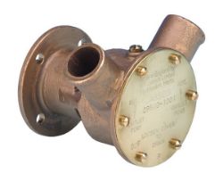 Raw Water Pump resmi