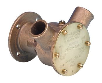 Raw Water Pump resmi