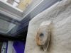 Picture of BUSHING