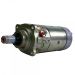 Starter Motor 12 V resmi