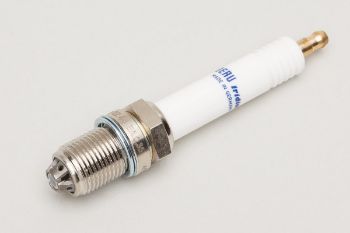 SPARK PLUG resmi