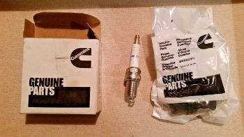 Spark Plug resmi