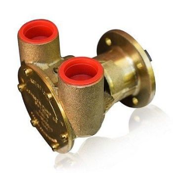 Raw Water Pump resmi