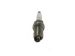 Spark Plug resmi