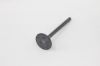 Picture of Exhaust Valve