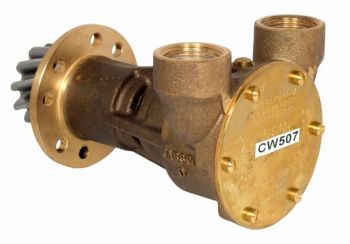 Sea Water Pump resmi