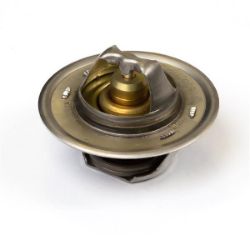 Thermostat resmi
