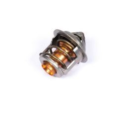 Thermostat resmi