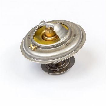 Thermostat resmi