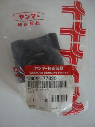 Picture of COVER