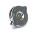 Radiator Cap resmi