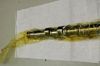 Picture of CAMSHAFT