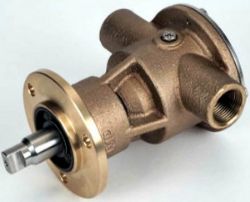 PUMP, RAW WATER resmi