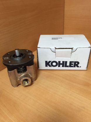 Picture of Pump, Seawater