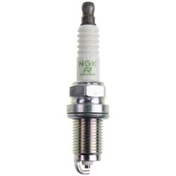 SPARK PLUG resmi