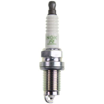 SPARK PLUG resmi