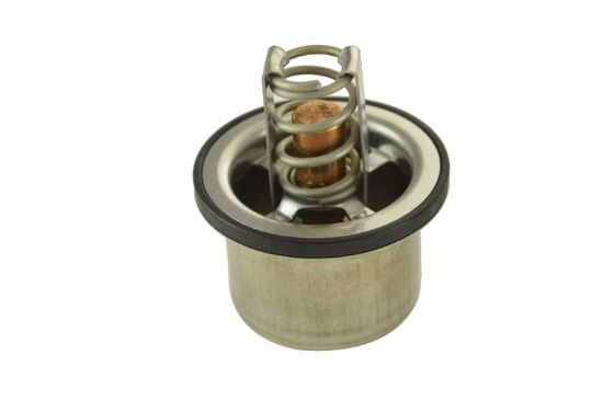 Picture of THERMOSTAT
