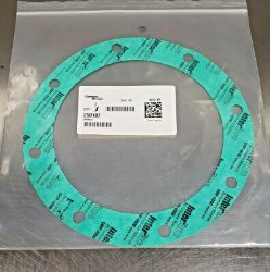 GASKET-WATER PUMP resmi